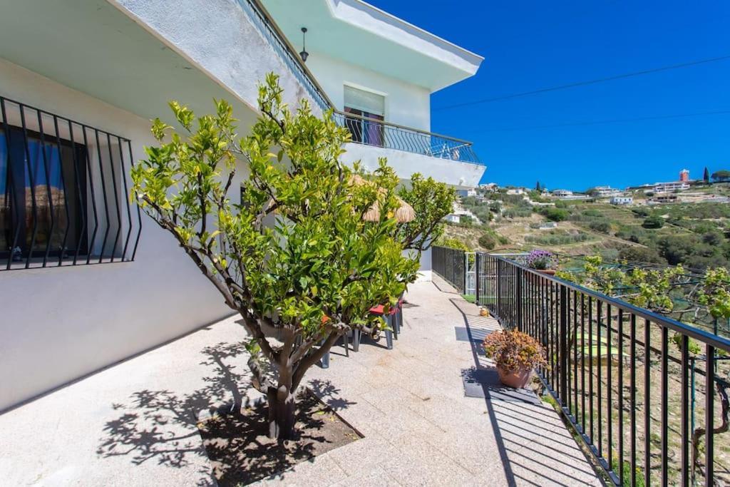 Апартаменты Echapee Belle - Vinayard View - Jacuzzi Bbq - Parking Ницца Экстерьер фото