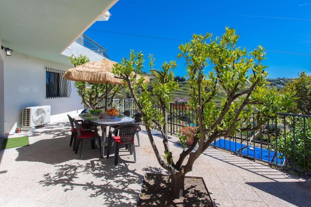 Апартаменты Echapee Belle - Vinayard View - Jacuzzi Bbq - Parking Ницца Экстерьер фото